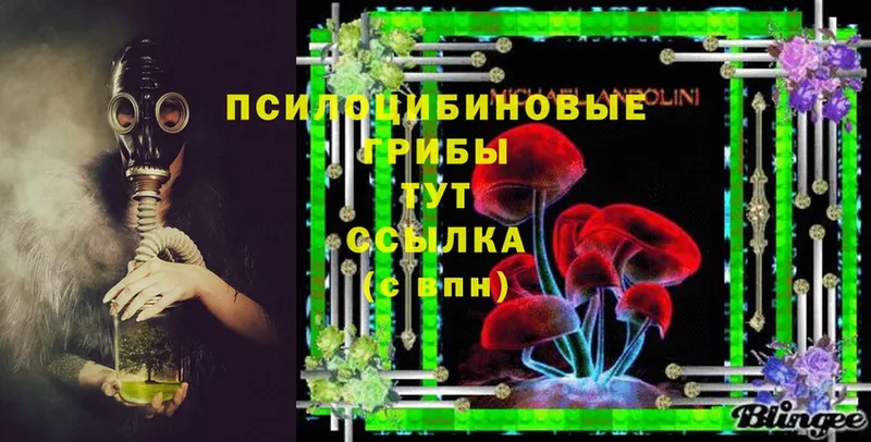 Псилоцибиновые грибы MAGIC MUSHROOMS  где продают   Дрезна 